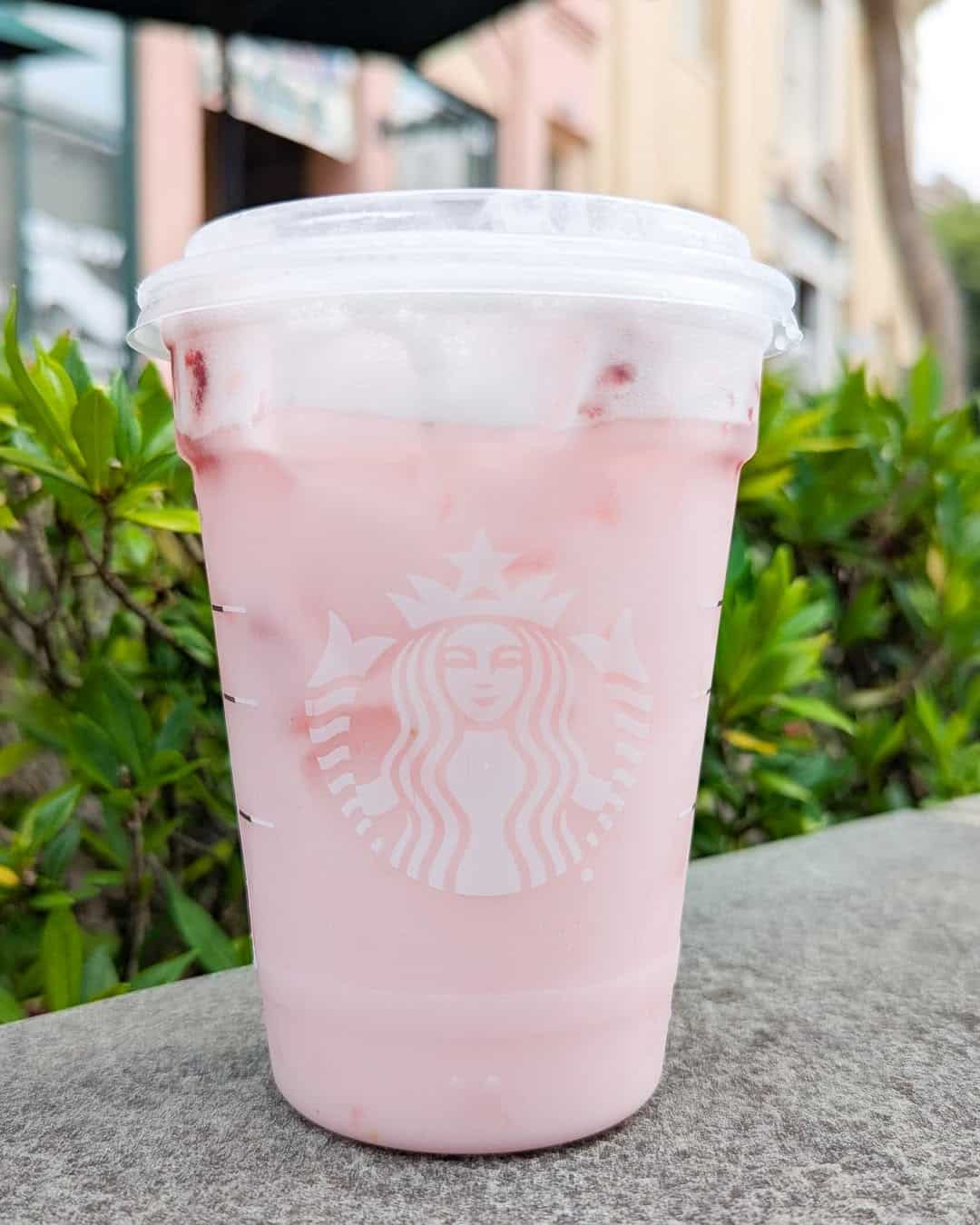 A clear plastic Starbucks cup filled with a pink iced drink and pieces of fruit, sitting on a stone surface—perfect inspiration for DIY Starbucks drinks to recreate at home, with green foliage and buildings blurred in the background.