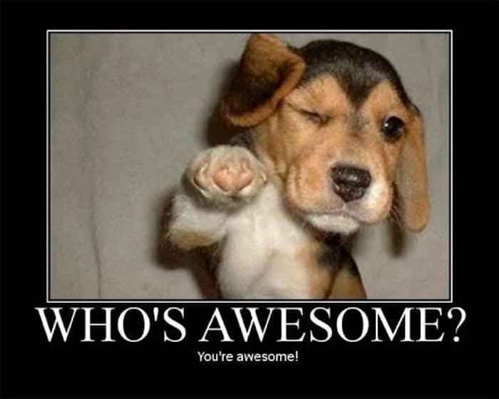 1 you are awesome motivation meme