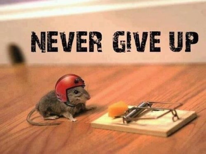 39ebc69ca014e89d81fef5c856c52c63 never give up dont give up