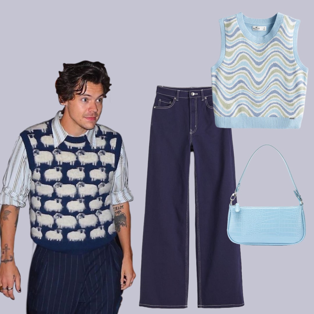 harry sweater vest