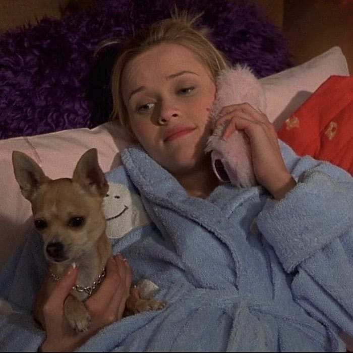 legallyblonde