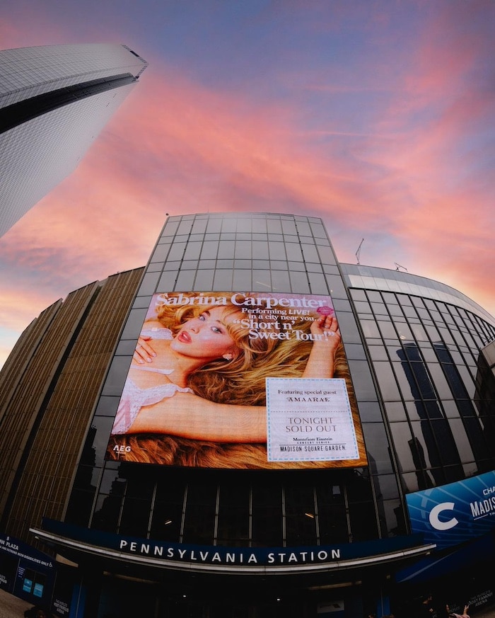 shortnsweettourmadisonsquaregarden